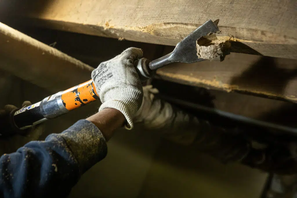 Traitement bois et charpentes contre les parasites et bêtes à bois