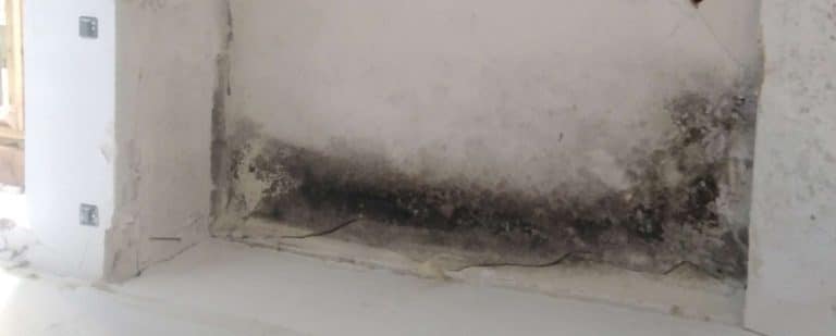 Moisissures au plafond de la salle de bain : plusieurs solutions