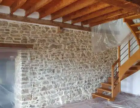 traitement des bois contre la vrillette