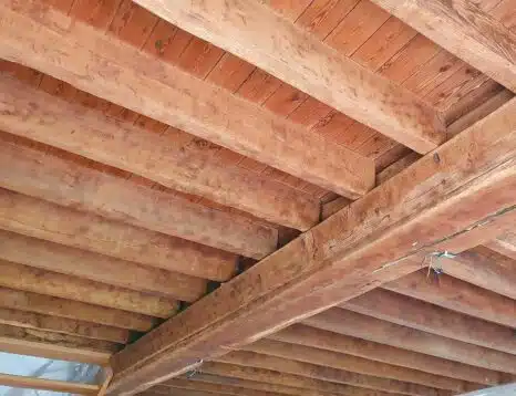 traitement des bois contre la vrillette