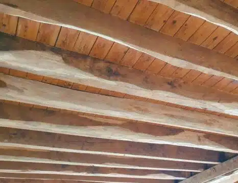 traitement des bois contre la vrillette