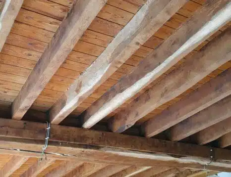 traitement des bois contre la vrillette