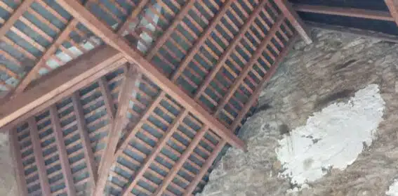 Comment et pourquoi traiter une charpente en bois ?