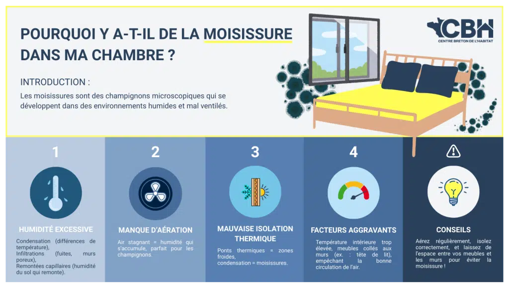 Infographie expliquant les causes de moisissure dans une chambre  humidité, mauvaise ventilation, isolation défaillante