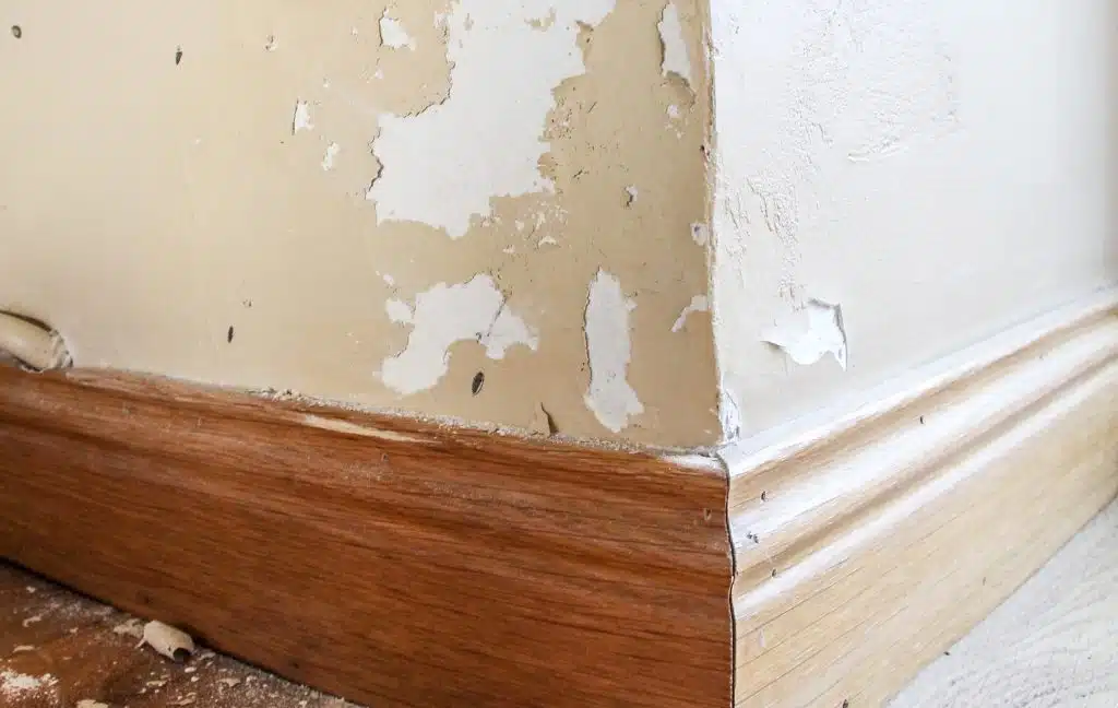 Mur intérieur abîmé par l'humidité  peinture écaillée autour d'une prise électrique et au niveau de la plinthe