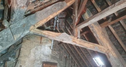 Bûchage capricorne sur charpente à Bruz