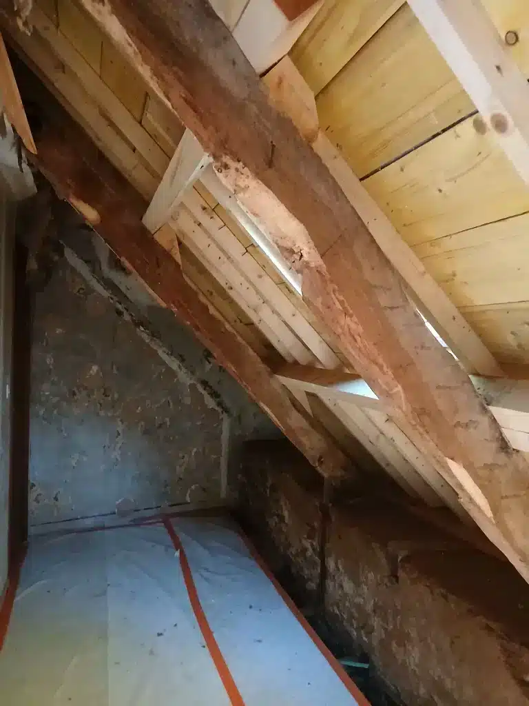 Poutres anciennes en bois apparent dans une pièce intérieure, sur un chantier de traitement du bois à Lannion.