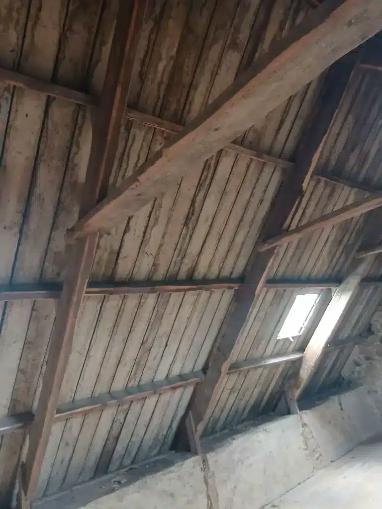 Vue intérieure d'une structure de toiture en bois ancien avec fenêtre de toit, pour un chantier à Lannion.